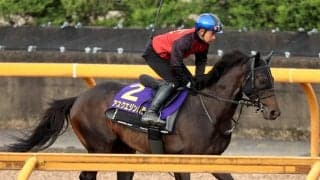 【日本ダービー・日曜気配】アスクエジンバラは鉄人・岩田康誠騎手背にＣＷコースでラスト１０秒８　「余裕があった」