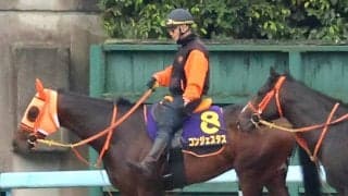 【日本ダービー・日曜気配】無傷３連勝中のコンジェスタスは坂路で併せ馬を消化　高野調教師「疲労がないということで安心」