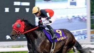 【高知競馬】船橋のライラボンドが福永洋一記念制覇　鞍上は川崎の野畑凌騎手