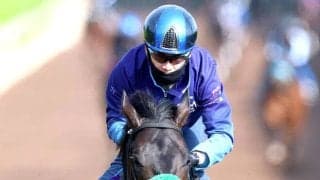 【日本ダービー】ロブチェン２冠へ　松山弘平騎手「全能力を発揮すれば、結果はついてくると思います」