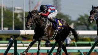 【日本ダービー登録馬】皐月賞馬ロブチェンなど20頭