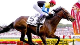 【ダービー記録】３連単最低配当はディープインパクトＶの０５年で４２５０円　単勝１１０円、支持率７３・４％も記録　意外にも複勝は…