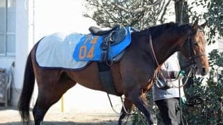 【目黒記念・三戸の特注馬】ダービーウィークに完全復活へ　２３年日本ダービー３着のハーツコンチェルトが重賞初タイトルを狙う
