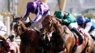 断然１番人気で昨年の凱旋門賞２着馬が惨敗...「謎の大失速」「不調だったのか」ネットは悲痛の声　愛タタソールズＧＣのミニーホーク