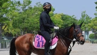 【葵Ｓ】ガラベイヤは出走できれば好勝負可能　加藤士調教師「抽選を通れば楽しみです」