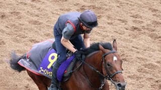 【日本ダービー】ゴーイントゥスカイは青葉賞からさらに上昇　武豊騎手７度目のダービー制覇へ準備は万全