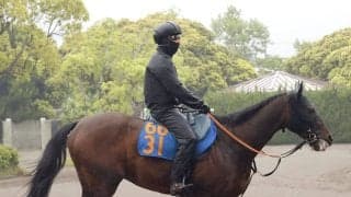 【目黒記念】舞台巧者のウィクトルウェルスに宮田調教師「秋には２４００メートル、２５００メートルの…」とＧ１を意識