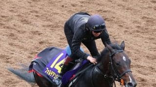 【日本ダービー】フォルテアンジェロが皐月賞５着から巻き返し狙う　上原佑調教師「状態はすごくいい」