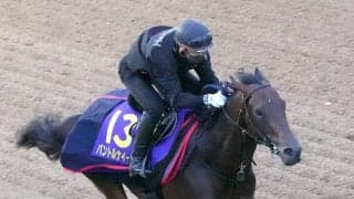【日本ダービー】ルメール騎手が能力信じて継続騎乗のパントルナイーフ　陣営「そこは素直に受け止めている」