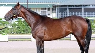 【松山康久元調教師のダービー馬体診断】ケントン７・５点　無駄な肉がなくシャープで、走りやすい状態