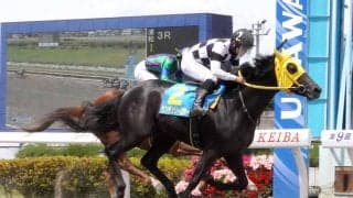 【浦和競馬】福原杏騎手が新馬戦連勝　センチュリースター＆ワイルドウルル