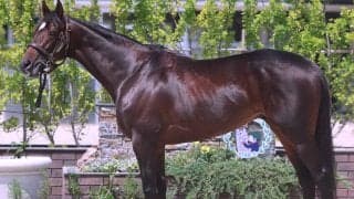 【松山康久元調教師のダービー馬体診断】バステール８・０点　あばらが見えるほどシェイプアップされ、好仕上がりです