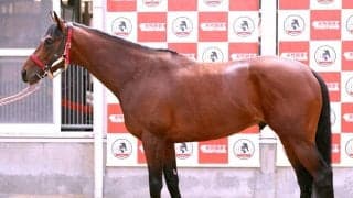 【松山康久元調教師のダービー馬体診断】カフジエメンタールは７・５点　体格は立派で首はしなやか　ゆったりした胸囲