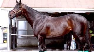 【松山康久元調教師のダービー馬体診断】ロブチェンはナンバーワンの１０点満点　凜とした表情　良質な筋肉　強い体幹