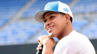 万波中正、田宮裕涼ら日本ハム勢３部門トップ　最多得票レイエス／パ・トップ５一覧