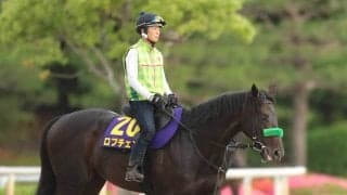 【日本ダービー】ロブチェンは２冠へ順調そのもの　陣営「いろいろ考えても、一番隙がない」枠も馬場も不問