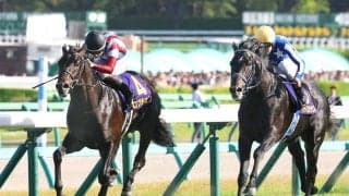 【日本ダービー・超ブル診断ステップレース編】逃げ切りは力の証明　個別評価最高「Ｇ」はレコード駆けの一頭