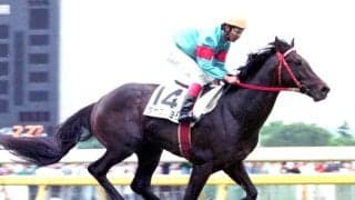 【ダービー記録】過去最多はサンデーサイレンス初年度の１９９５年１万４９２頭　今年は７９４４頭の頂点を決める戦い