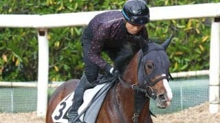 【注目馬動向】２４年のサマーマイルシリーズ王者トゥードジボン引退　四位調教師「屈腱炎が再発」社台ファームで乗馬に