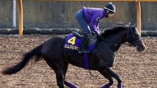 【日本ダービー】７年連続参戦の友道厩舎　今年は「滑り込み」５・９億円ホースのエムズビギンで下克上狙う