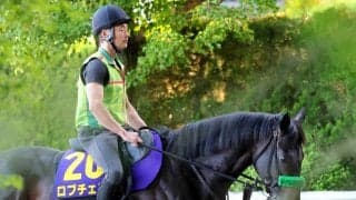 【日本ダービー】好馬体が際立つ皐月賞馬のロブチェンに杉山晴調教師も手応え十分　「動きの質は良くなっています」