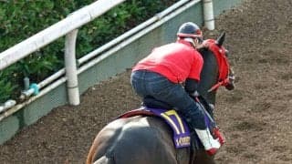 【Ｇ１トク捜リレー】メイショウハチコウの前走は中身の濃い内容　父ロジャーバローズ同様に波乱を呼ぶか　理貴記者が注目