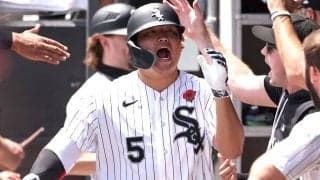 「わずか53試合目で18本に到達」村上宗隆、本塁打量産ペースは歴代スラッガー級　記録的パフォーマンスを米称賛「すでに特別なことを成し遂げている」