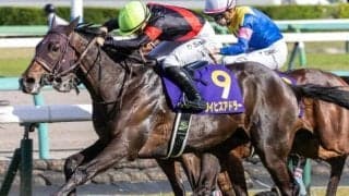 【日本ダービー】追分ファームが初制覇なるか 皐月賞3着のライヒスアドラーが挑む