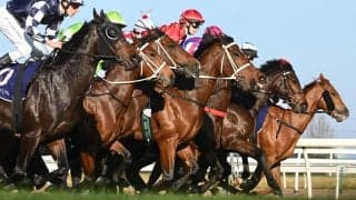 【日本ダービー／全頭診断】皐月賞馬ロブチェンに“馬券内率83％”　「最高の枠」ゲットの穴馬も虎視眈々
