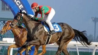 函館2歳Sトライアル ロゼットリボンが「ウィナーズチャレンジI」制す