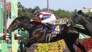 【競馬予想】日本ダービーの本命・ロブチェンの信頼度を血統で分析