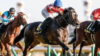【目黒記念枠順確定】ダノンシーマは7枠11番、ウィクトルウェルスは4枠6番