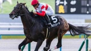 【目黒記念】セレクト3.1億円のダノンシーマ 史上最高価格のJRA重賞勝ち馬となるか