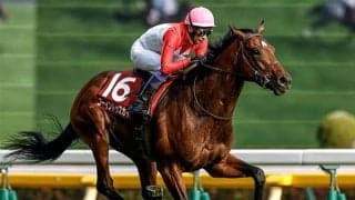 今週の武豊騎手は7鞍 ゴーイントゥスカイで日本ダービー7勝目なるか