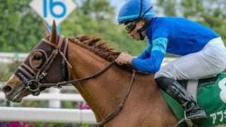 葵Sはとにかく荒れる一戦 馬体重や前走に注目だ