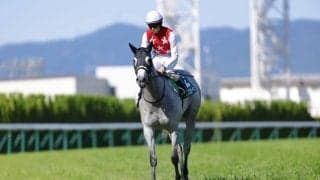 【葵S】マテラスカイ産駒 デアヴェローチェが重賞初制覇