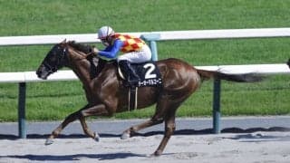 【桃山S】テーオーマルコーニが鮮やか抜け出しV…ロスのない立ち回りでオープン入り