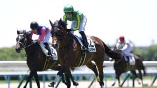 【京都5R】サトノアグードが断然の支持に応える