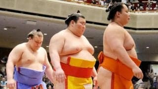 大関陥落の安青錦が復帰「なかなか２２歳でこんな経験しない」ケガで全休も前向く「後悔ばかり考えても意味がない」【大相撲】