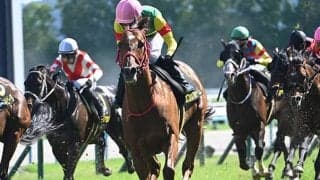 【JRA・WIN5】ダービーデーのWIN5は的中3618票、配当16万2030円