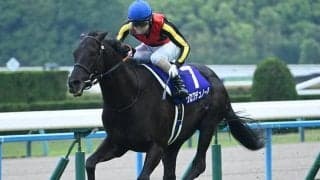 【宝塚記念】クロワデュノール、メイショウタバルなどが登録