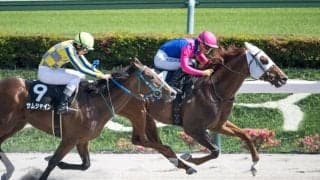 【薫風S】メイショウハチローが勝負根性を発揮！ゴール前差し返してオープン入り