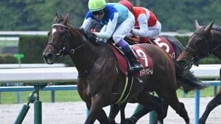 春のマイル王決定戦・安田記念 2歳新馬戦もスタート/今週の競馬界の見どころ