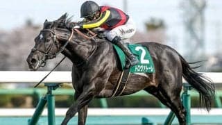 【安田記念展望】美浦の実力馬トロヴァトーレがマイル王戴冠を狙う