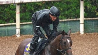 【安田記念】古傷の右前脚の爪を傷めアドマイヤズーム無念の出走回避