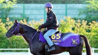 【安田記念】トロヴァトーレが抜群の推進力を披露　鹿戸調教師「１コーナー過ぎまで加速していたし良かった」