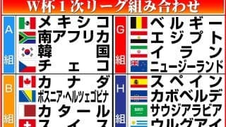 ６カ国がメンバー26人全て海外リーグ所属　外国籍Ｊリーガーは４人／Ｗ杯選手リスト発表