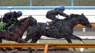 【宝塚記念１週前】クロワデュノールは悪天候でも力強い脚取り　３頭併せで最先着に斉藤崇調教師「気持ちの部分と体の引き締めの部分だけ」