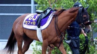 【注目馬動向】セフィロは態勢が整わず安田記念を回避　シリウスコルトが出走可能に