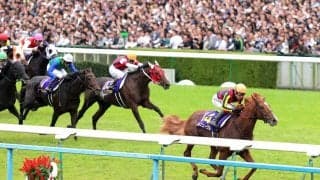 「しまむらで競走馬グッズを！？」「こんなの売り切れちゃうじゃん！」名馬がデザインされたグッズ発売発表が反響